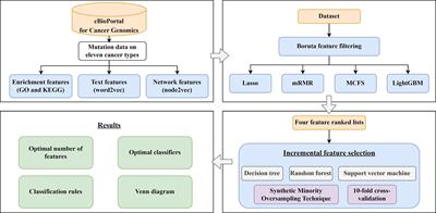 Functional and embedding feature analysis for pan-cancer classification